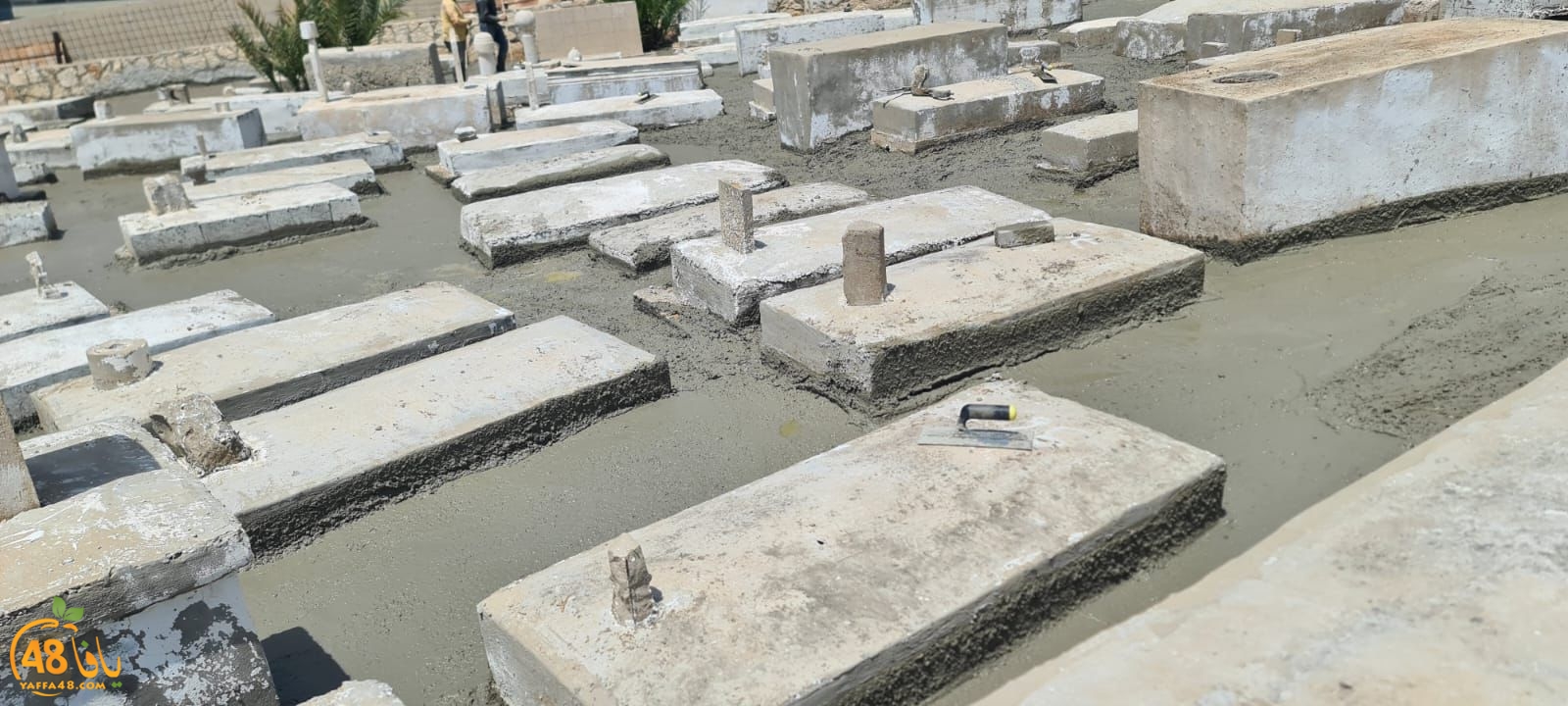 WhatsApp Image 2023-06-03 at 10.12.40 AM.jpeg